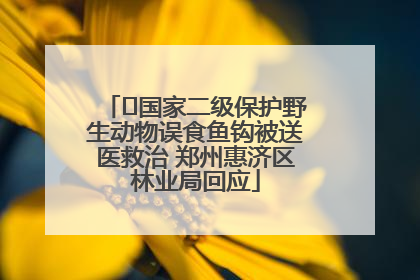 ﻿国家二级保护野生动物误食鱼钩被送医救治 郑州惠济区林业局回应