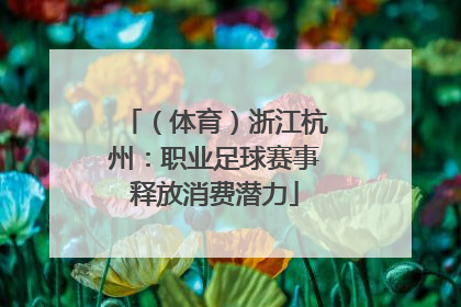 （体育）浙江杭州：职业足球赛事释放消费潜力