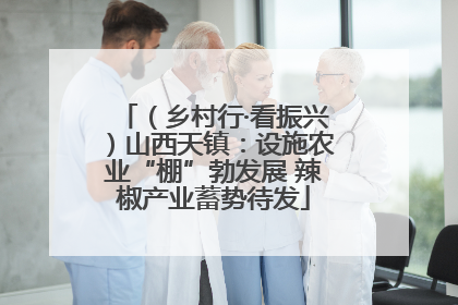 （乡村行·看振兴）山西天镇：设施农业“棚”勃发展 辣椒产业蓄势待发