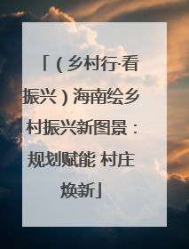 （乡村行·看振兴）海南绘乡村振兴新图景：规划赋能 村庄焕新
