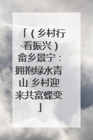 （乡村行·看振兴）畲乡景宁：拥抱绿水青山 乡村迎来共富蝶变
