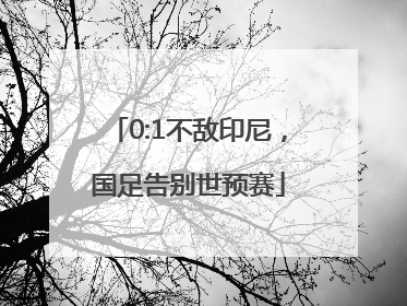 0:1不敌印尼，国足告别世预赛