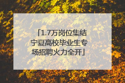 1.7万岗位集结 宁夏高校毕业生专场招聘火力全开