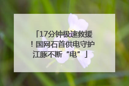 17分钟极速救援！国网石首供电守护江豚不断“电”