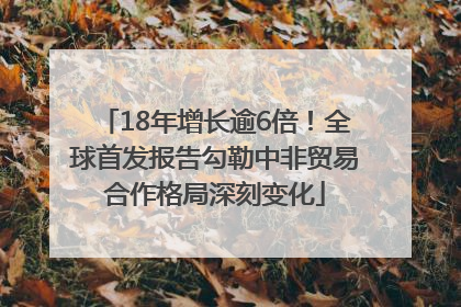 18年增长逾6倍！全球首发报告勾勒中非贸易合作格局深刻变化