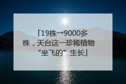 19株→9000多株，天台这一珍稀植物“坐飞的”生长
