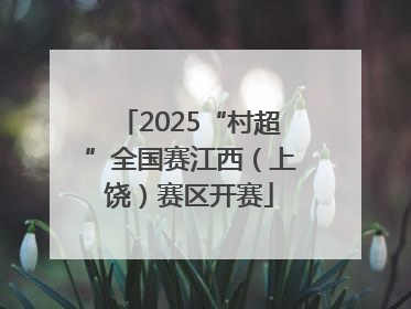 2025“村超”全国赛江西（上饶）赛区开赛