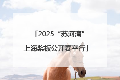 2025“苏河湾”上海桨板公开赛举行