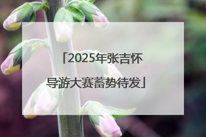 2025年张吉怀导游大赛蓄势待发