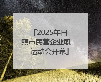 2025年日照市民营企业职工运动会开幕
