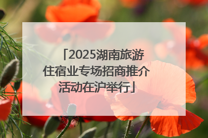 2025湖南旅游住宿业专场招商推介活动在沪举行