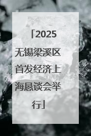 2025无锡梁溪区首发经济上海恳谈会举行