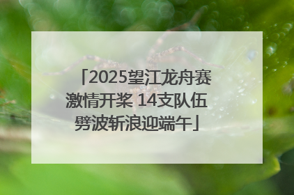 2025望江龙舟赛激情开桨 14支队伍劈波斩浪迎端午
