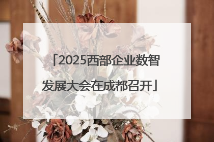 2025西部企业数智发展大会在成都召开