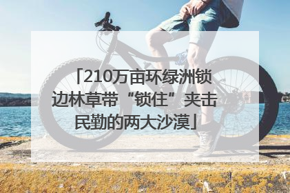 210万亩环绿洲锁边林草带“锁住”夹击民勤的两大沙漠