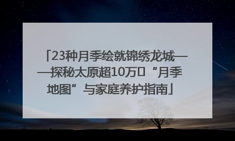 23种月季绘就锦绣龙城——探秘太原超10万㎡“月季地图”与家庭养护指南