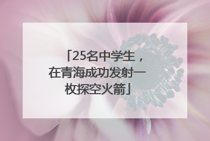 25名中学生，在青海成功发射一枚探空火箭