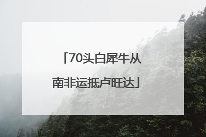 70头白犀牛从南非运抵卢旺达
