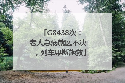 G8438次：老人急病就医不决，列车果断施救