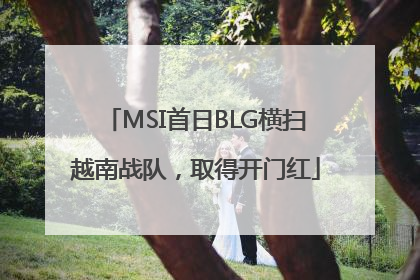 MSI首日BLG横扫越南战队，取得开门红